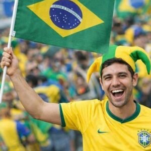 Bandeira do Brasil 20x28 cm